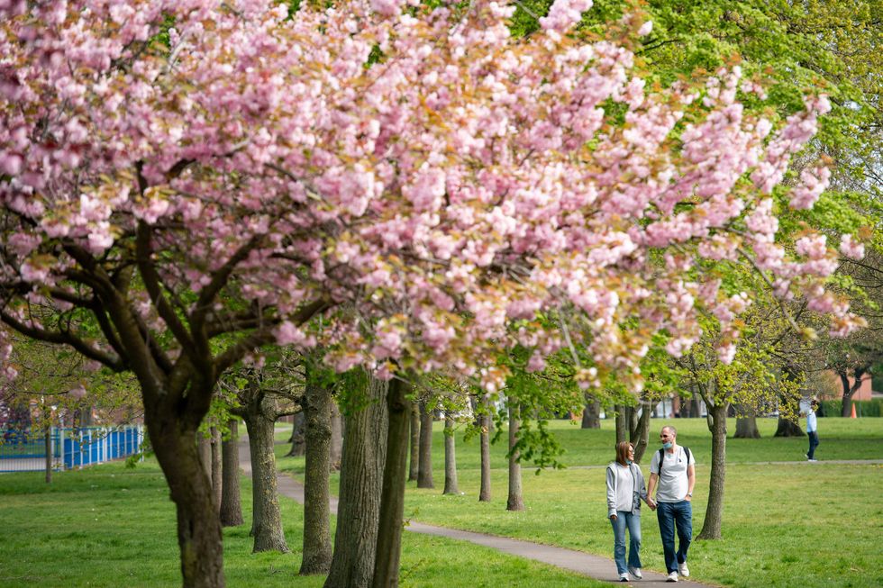 Spring weather 19th Apr 2020