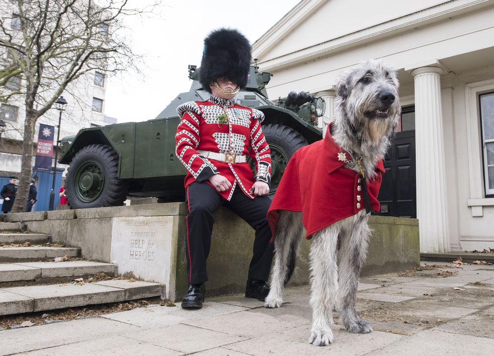 St Patrick\u2019s Day