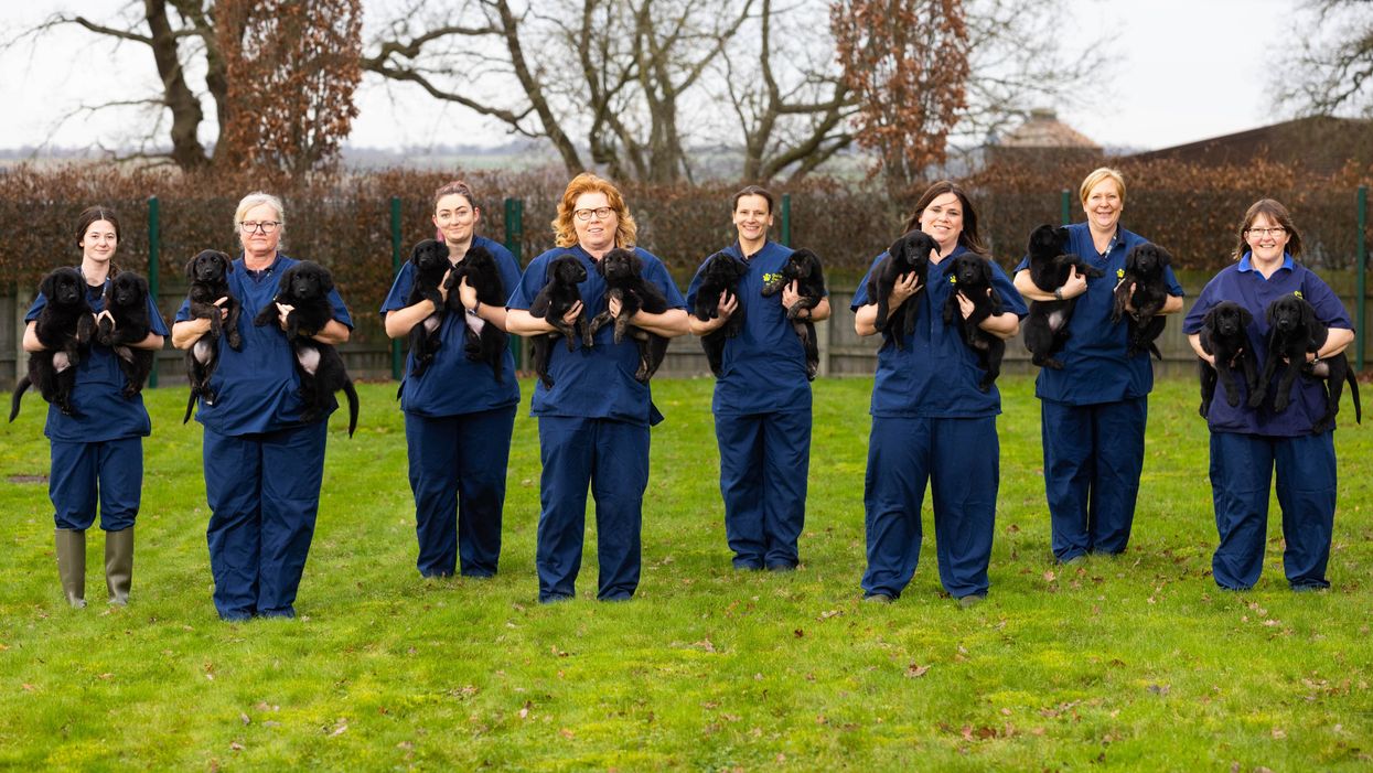 Staff with the puppies at the Guide Dogs National Centre in Leamington Spa (Guide Dogs/PA)