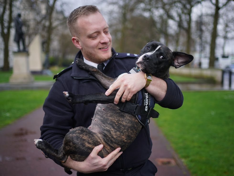 Puppy gets new home with Met police officer who rescued her from squalid flat