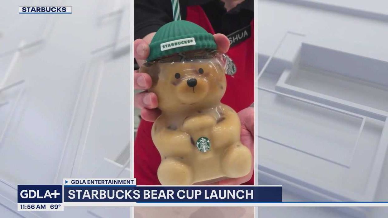 Customer frenzy over Starbucks limited edition bear cups causes queues in the early hours