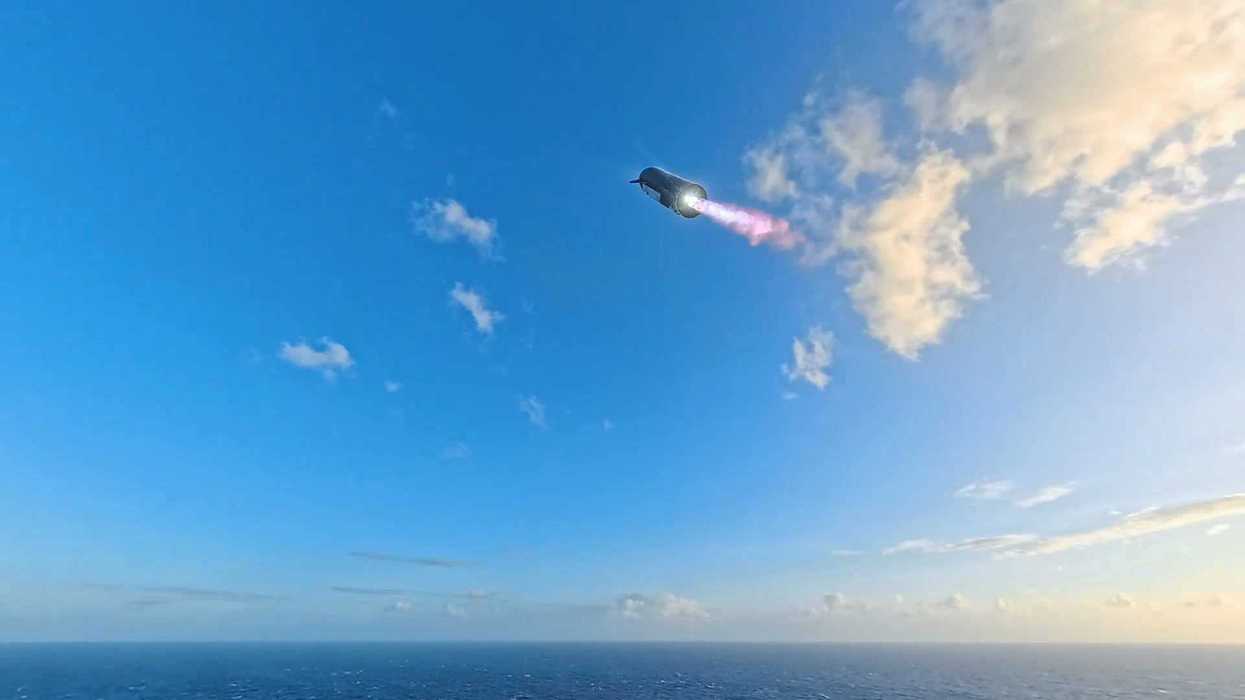 SpaceX investors are requesting that Elon Musk paint Starship pink - what you need to know