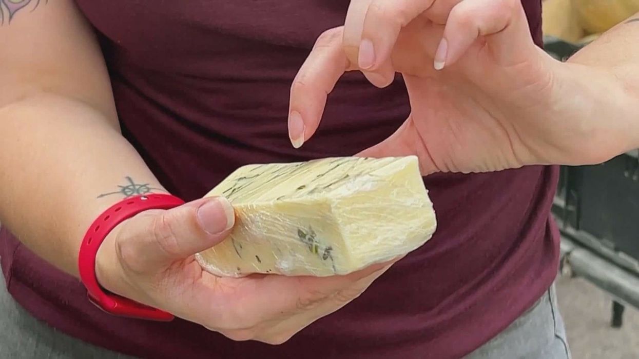 'Fortune teller' can predict people's futures using cheese