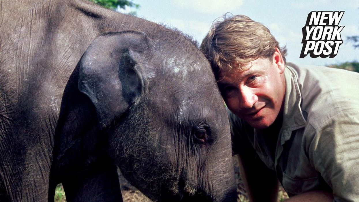 Steve Irwin could replace Queen on $5 Australian bank note if petitions get their way
