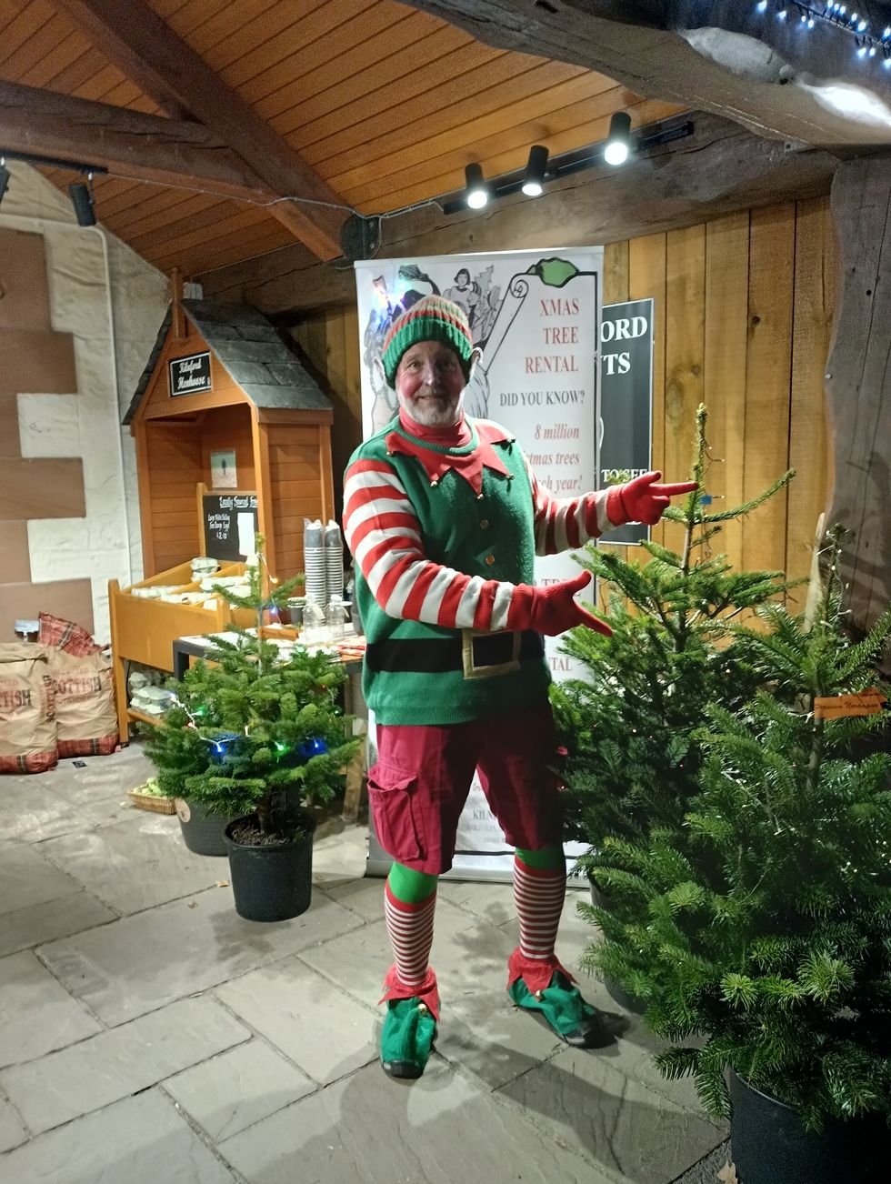 Steve Pearman dressed as an elf, pointing at Christmas trees