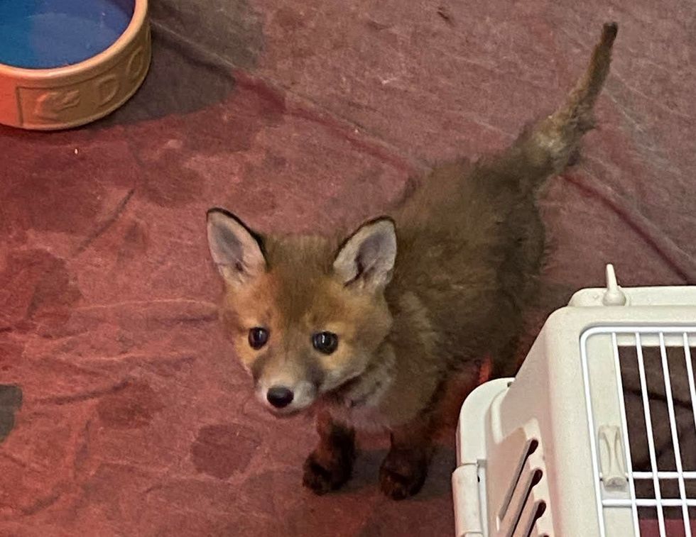 Sticky two weeks later