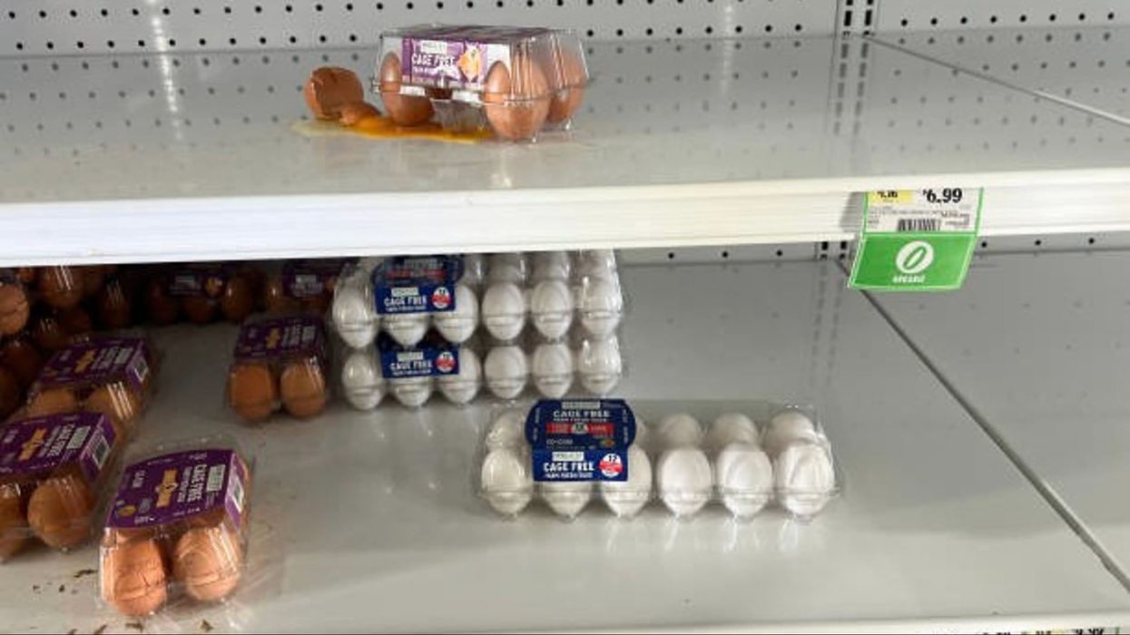 Trump fans voted for lower egg prices - but now they're in for a shock