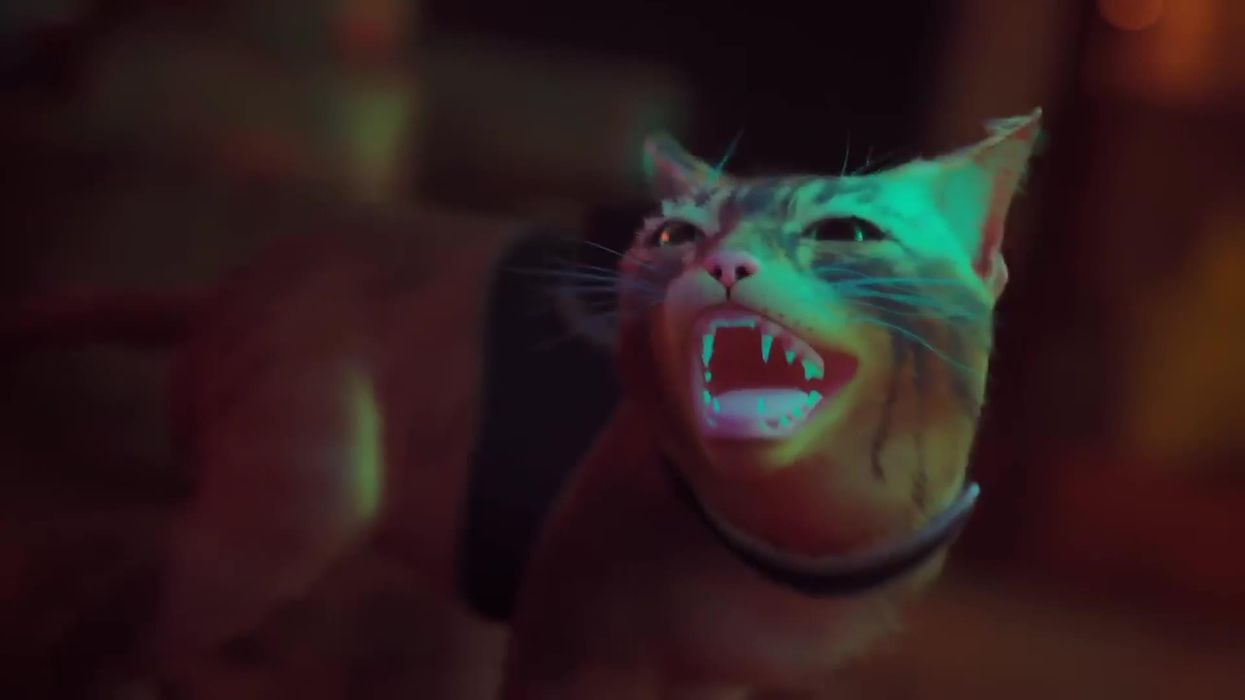 You can now play as Garfield in Stray thanks to mods