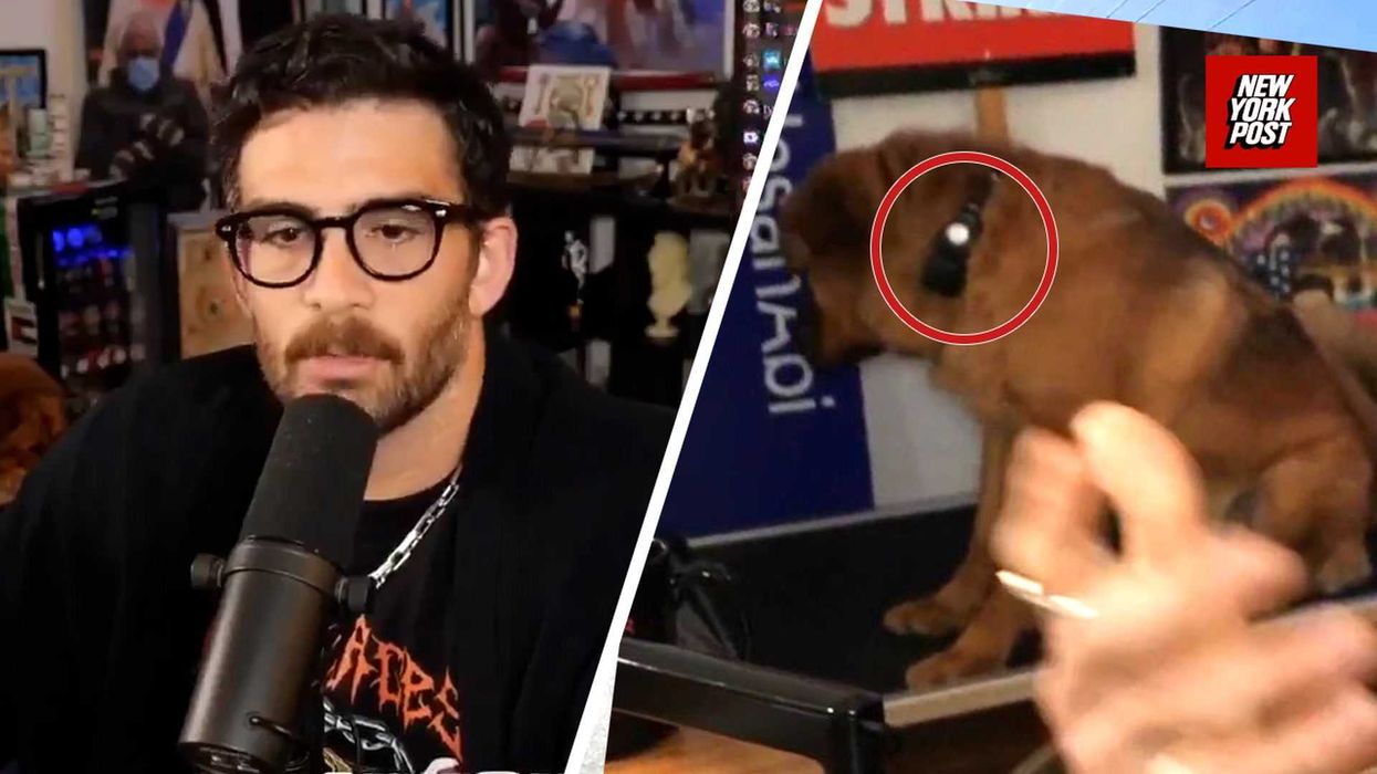 Hasan's feud with xQc explained after dog collar controversy