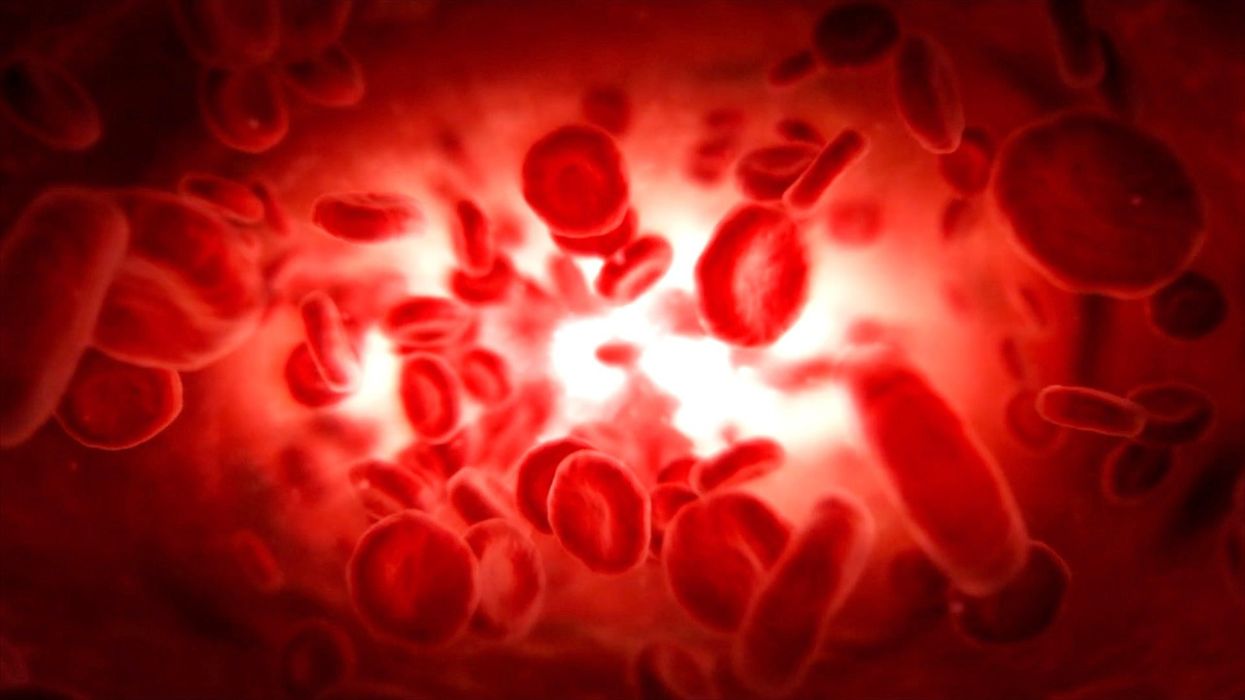 Plastic chemicals contributing to hundreds of thousands of global deaths, study finds