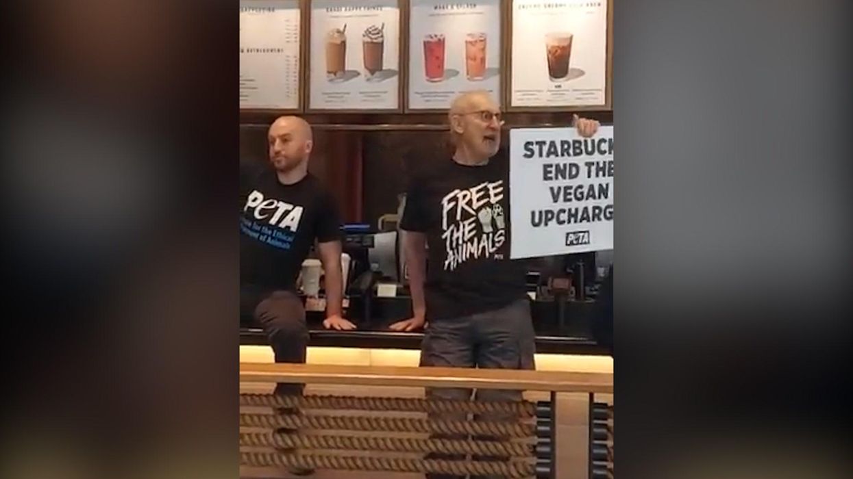 Succession's James Cromwell superglues himself to coffee shop counter over price of vegan milk