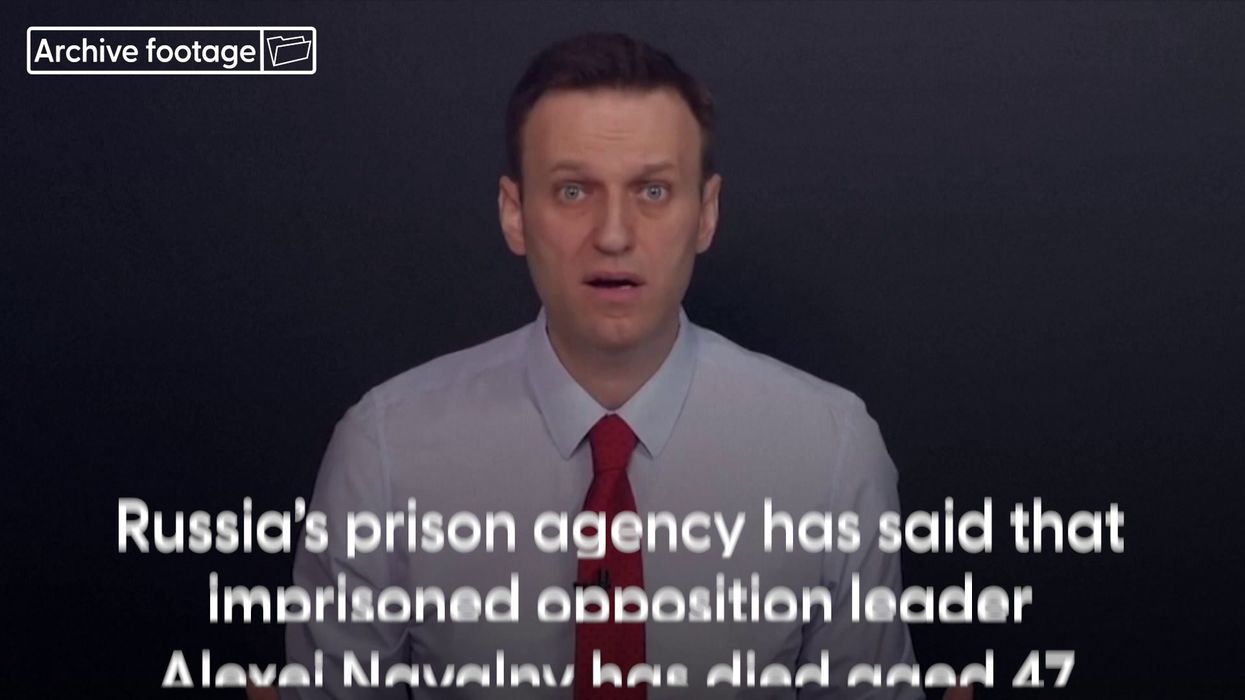 7 times Alexei Navalny angered Vladimir Putin