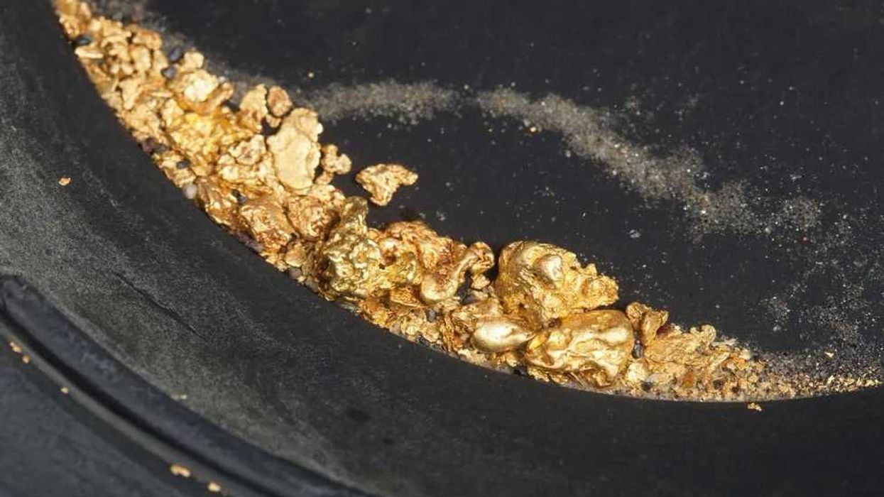 Largest golden nugget ever found weighed as much as an adult man