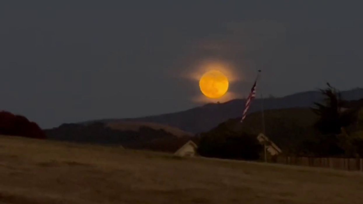 15 stunning photos of July's supermoon