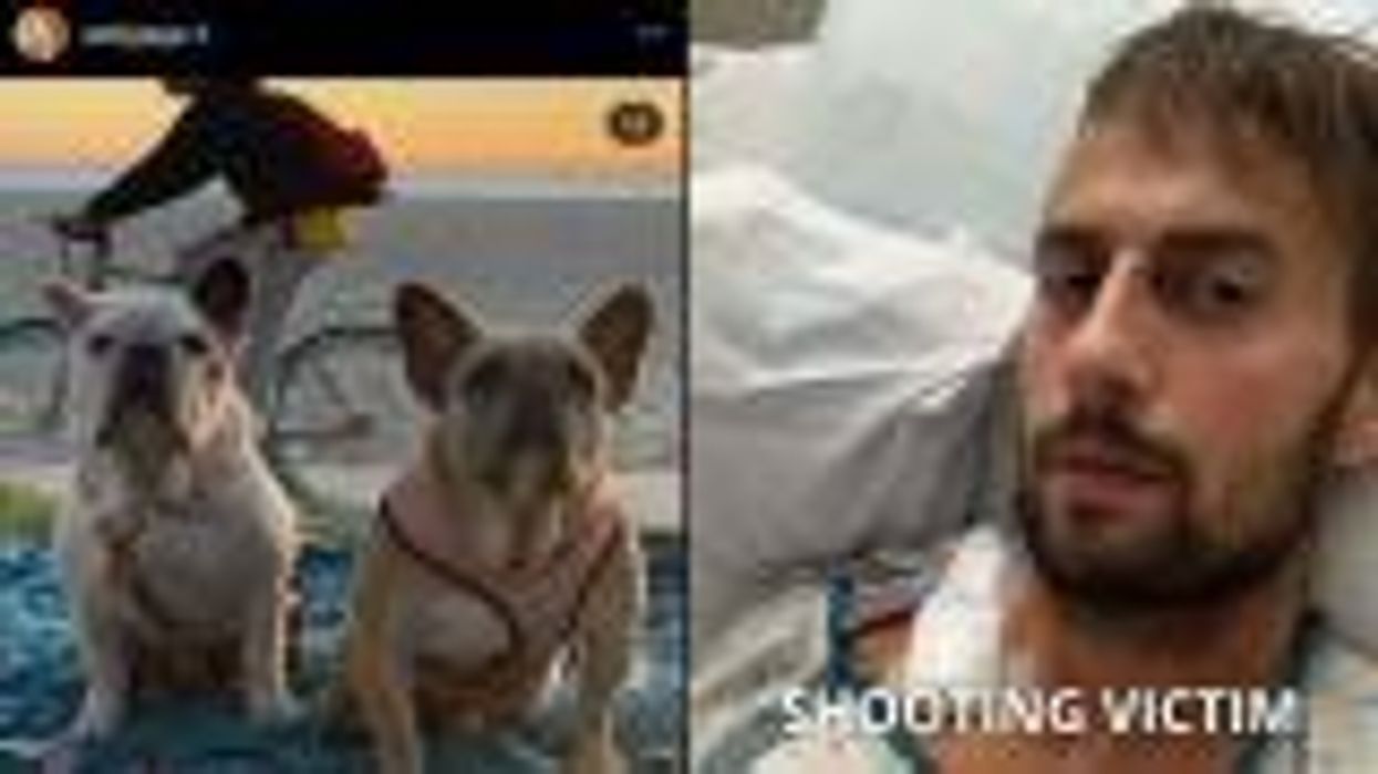 Man accused of shooting Lady Gaga's dog walker gets released from jail - by mistake