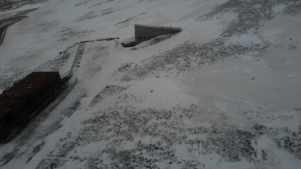 Inside the global seed vault that gets opened if the apocalypse hits