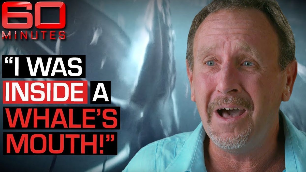 This man was swallowed by a whale and survived – here's what he has to say about it