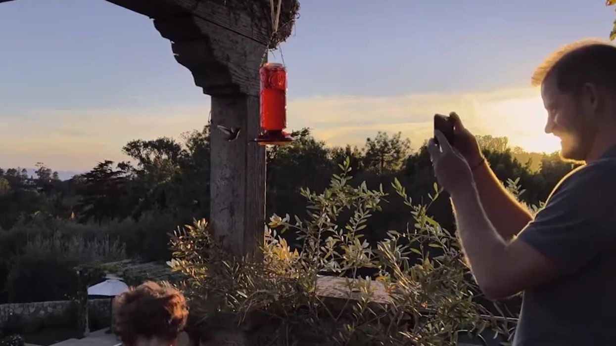 Everything we learned from new Harry and Meghan Netflix trailer