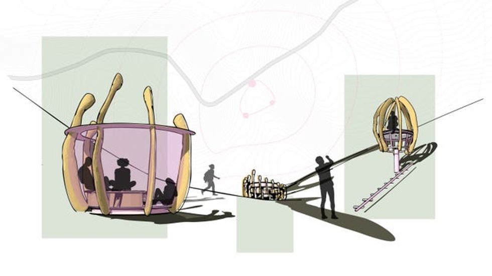 Sycamore Gap tree felled