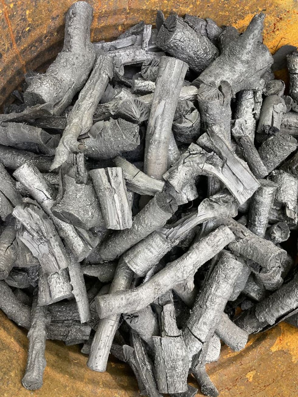 Sycamore Gap tree felled