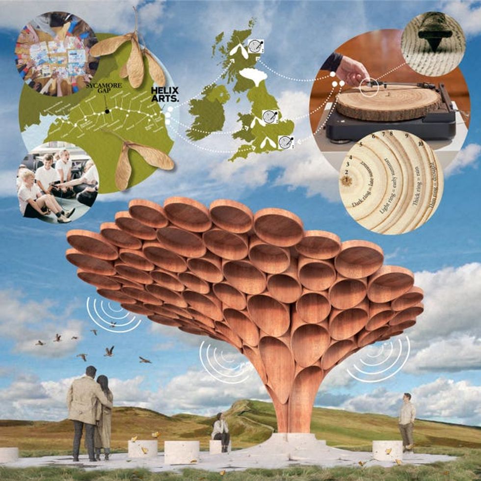 Sycamore Gap tree felled