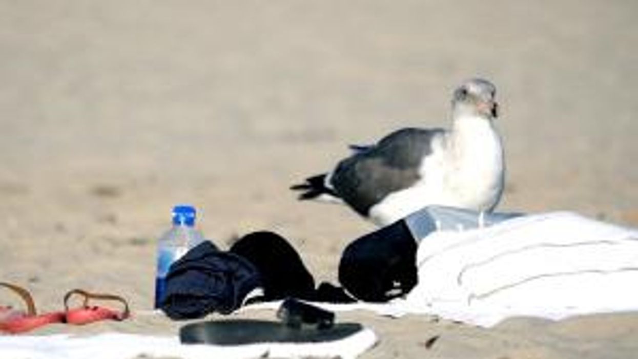 Restaurant bans people with tattoos to 'discourage intimidating appearances'