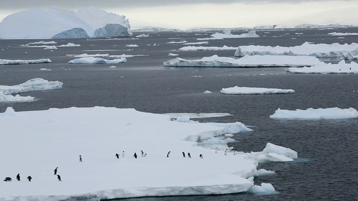 Bizarre signals are coming from the ice in Antarctica and scientists can't explain why