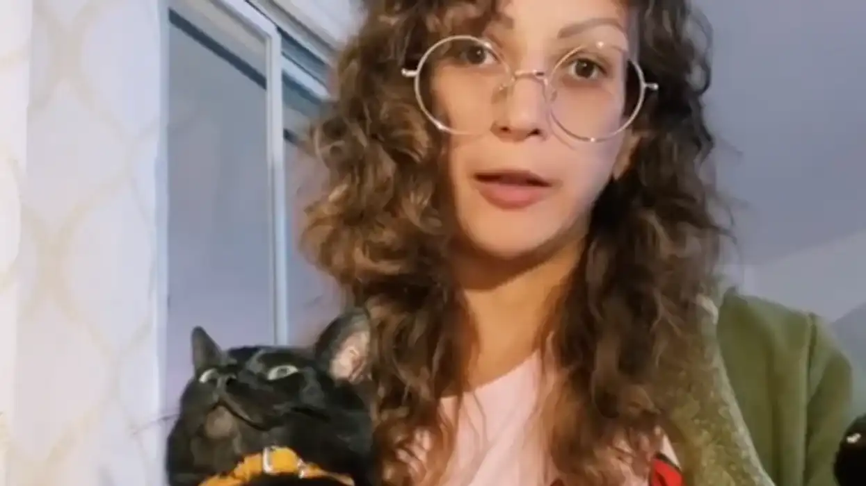 TikToker freezes their dead cat so they could be 'together forever'