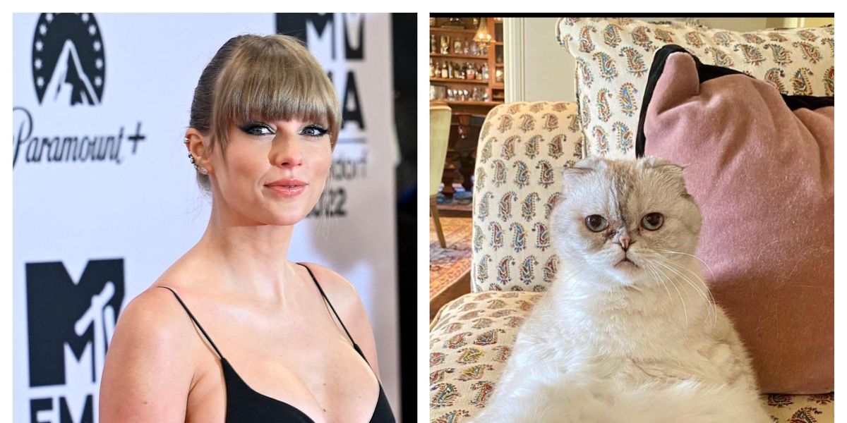 Taylor Swift's cat is the world's richest pet with amazing net
