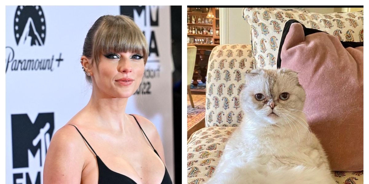 Taylor Swift's cat is the world's richest pet with amazing net worth