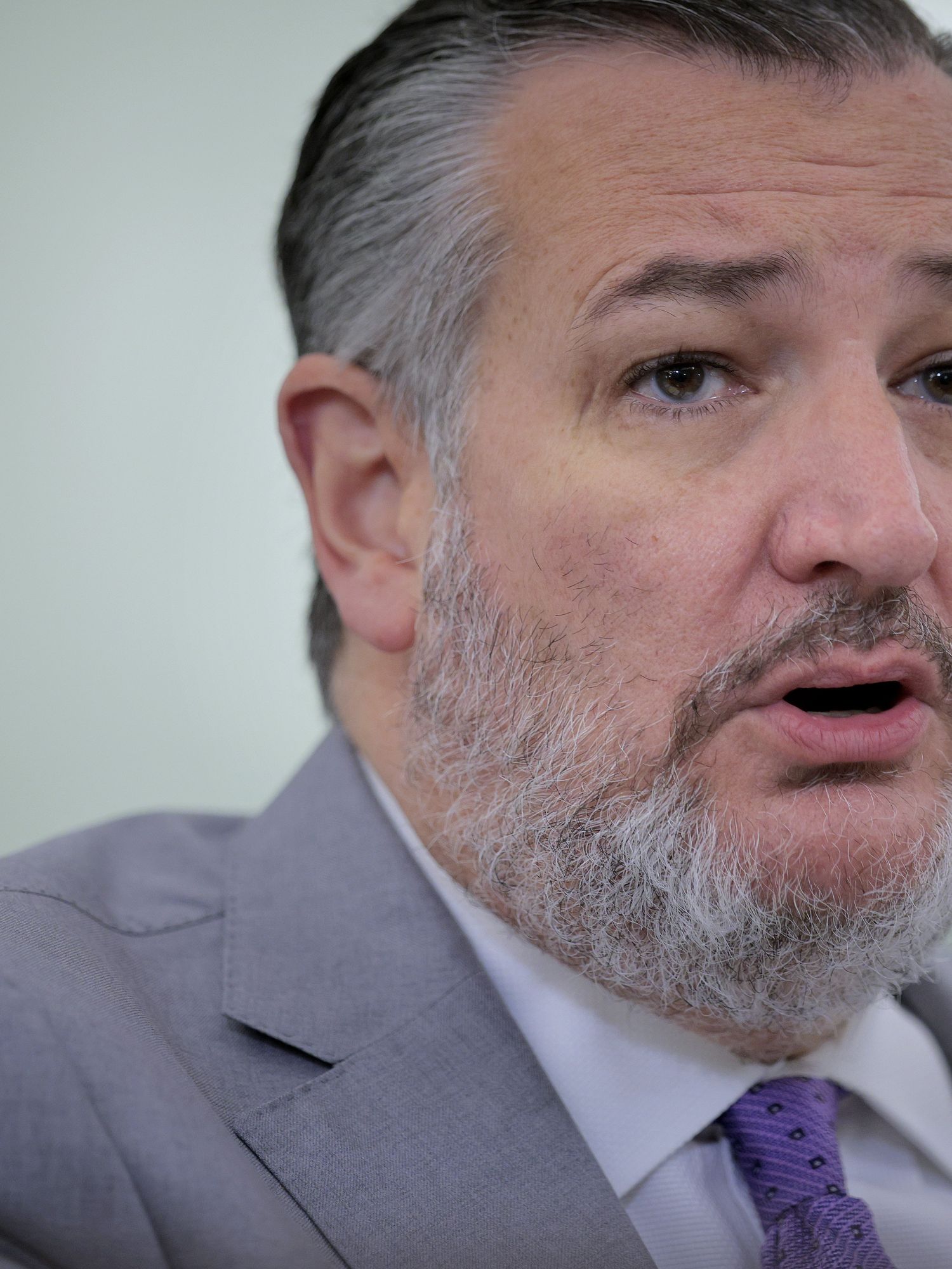 Ted Cruz, a bearded white man with short grey and black hair, in a grey suit.