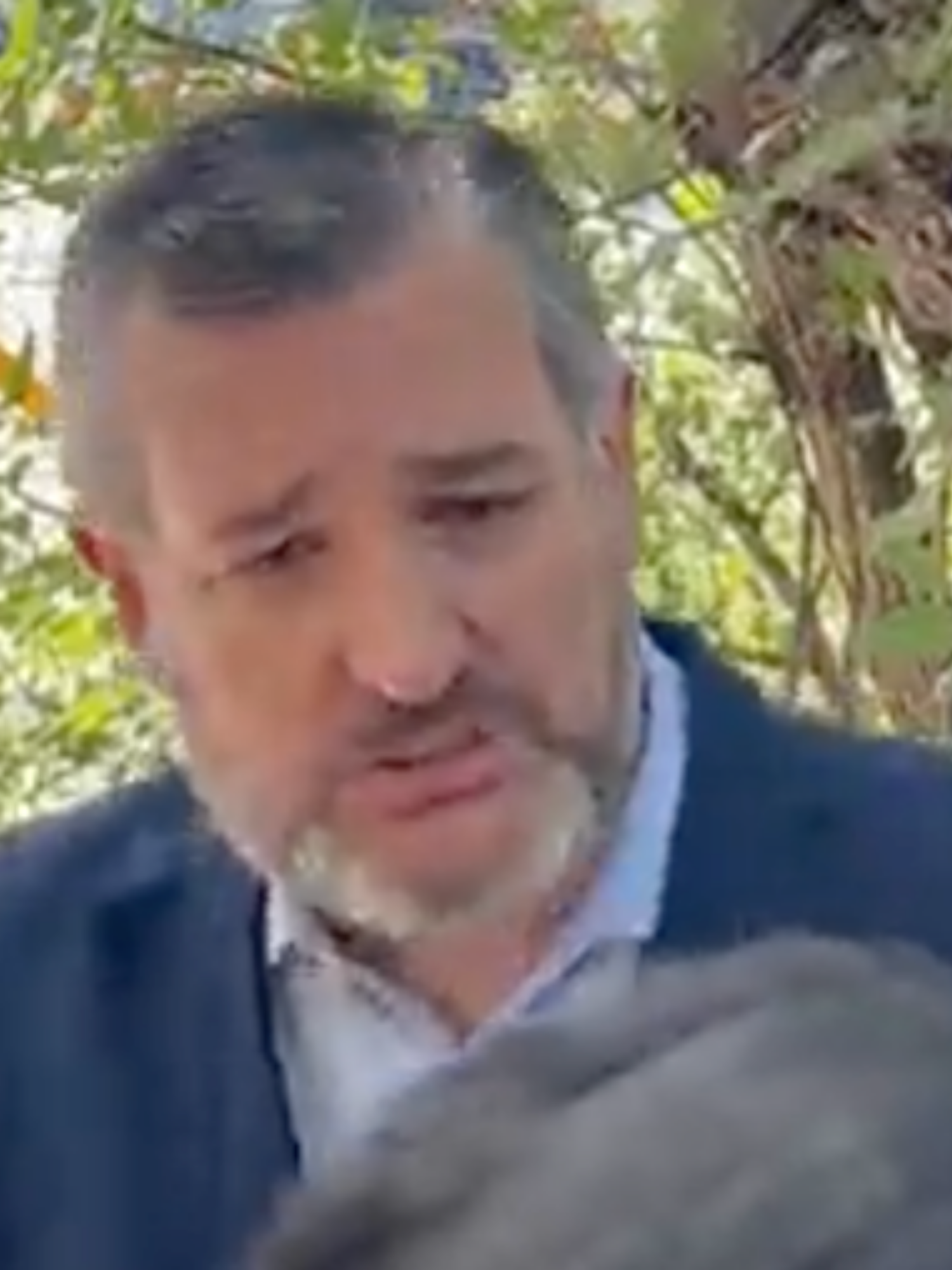 Ted Cruz blames school shooting on unlocked door