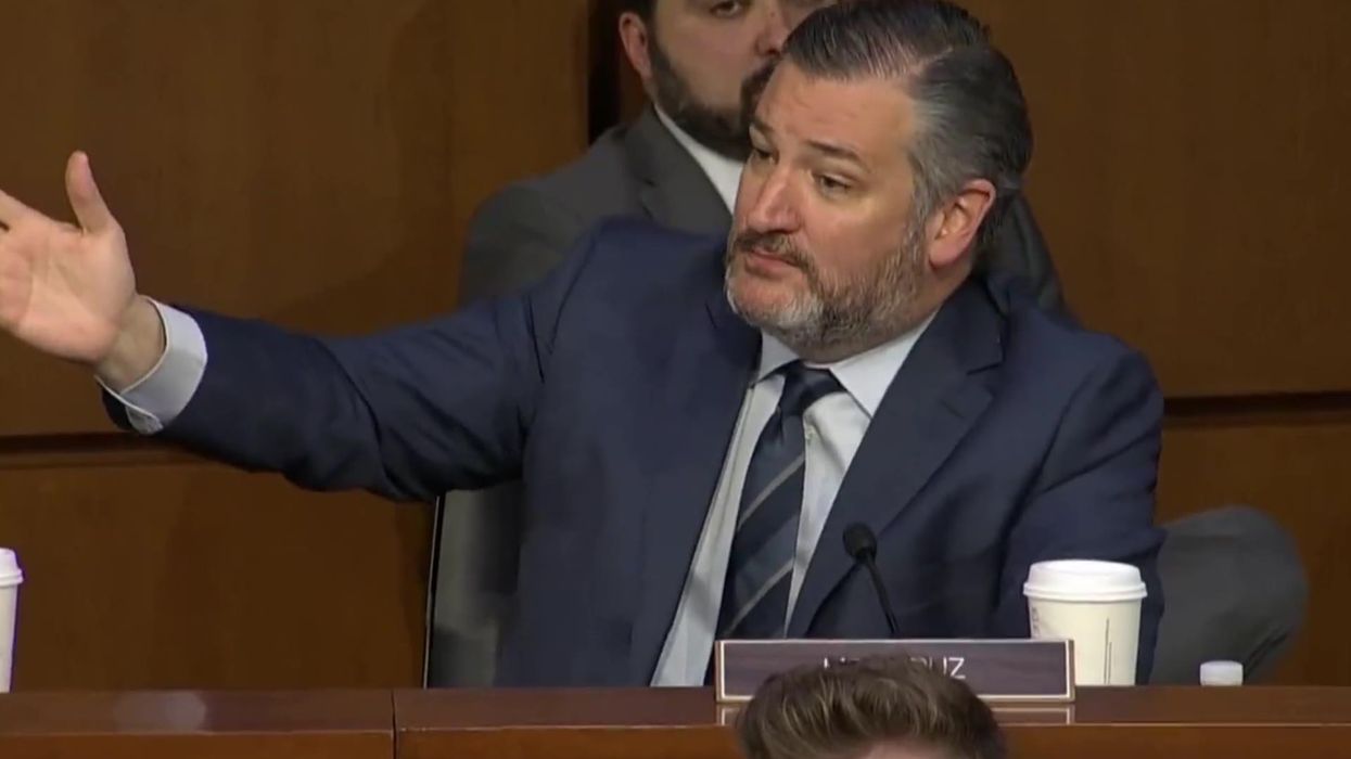 Ted Cruz asks if he can identify as an 'Asian man' during Supreme Court hearings