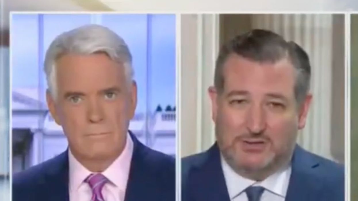 Ted Cruz complains that VP Harris is visiting the “wrong” part of the border.