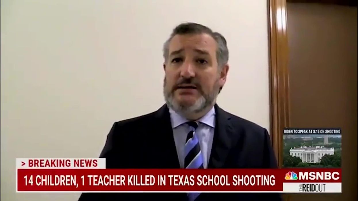 Ted Cruz thinks that more guns will deter future high school shootings