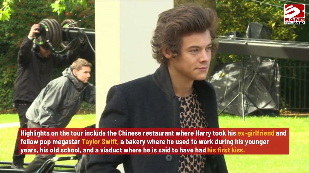 Harry Styles experts wanted for tour guide job in singer's home village