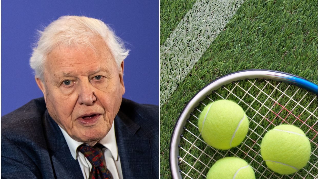 Tennis balls are fluorescent yellow thanks to David Attenborough