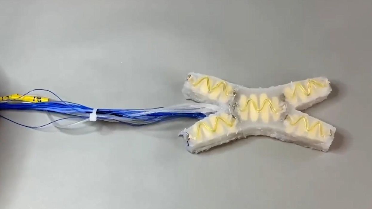 Scientists invent creepy self-healing robot that mends itself on the spot