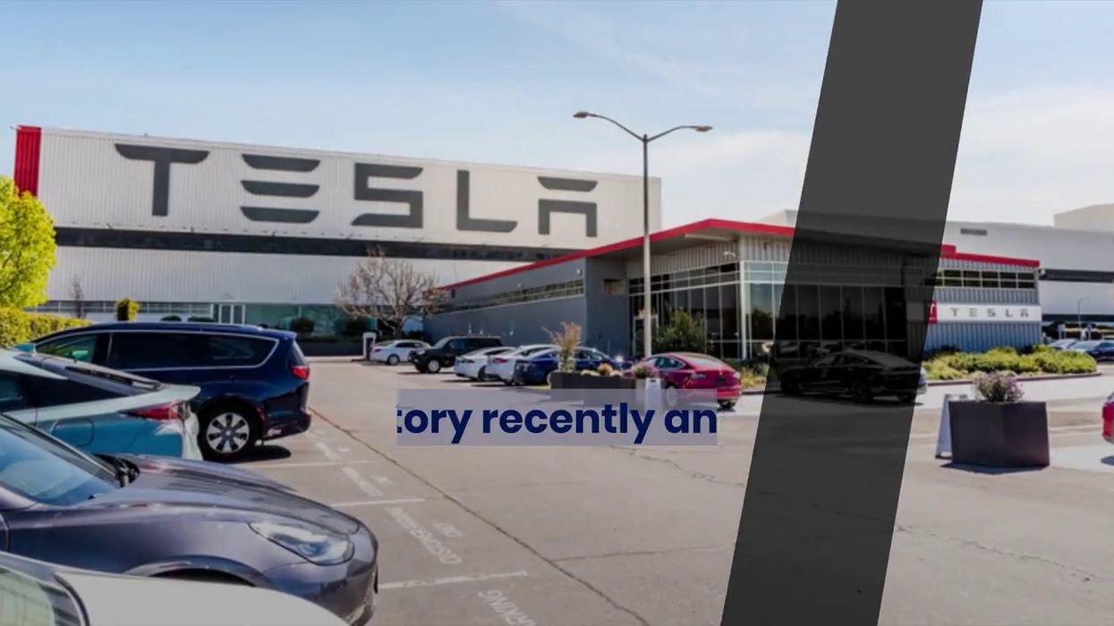 10 of the best reactions to Elon Musk's nightmare Tesla recall