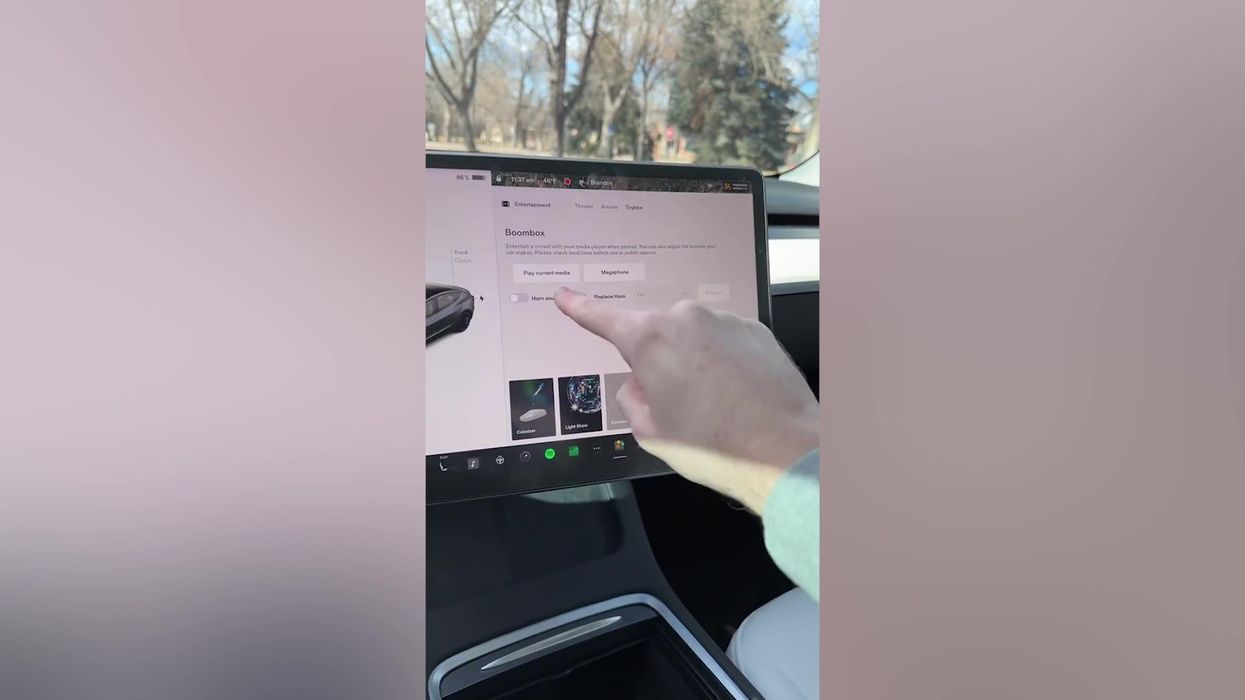 A Tesla owner has turned their car horn into Topher from TikTok