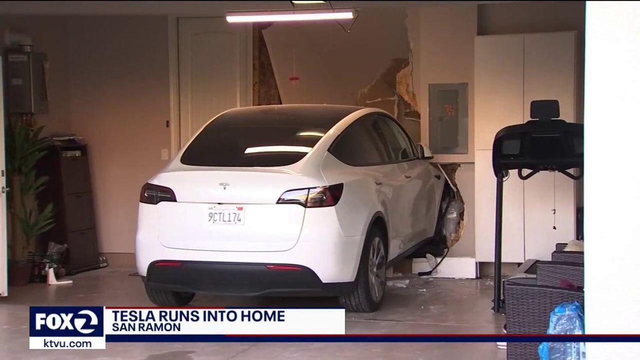 Apple co-founder says he thinks Elon Musk is a 'cult leader'