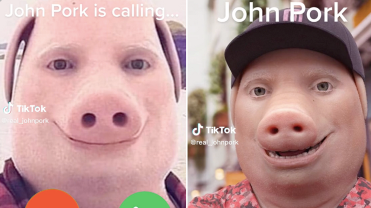 What is John Pork is calling meme? Bizarre trend goes viral on TikTok