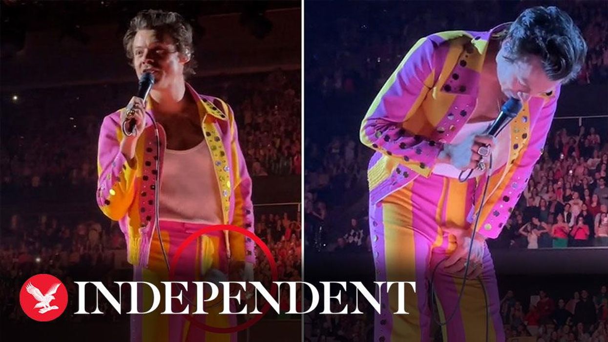 Harry Styles hit in the groin during live gig