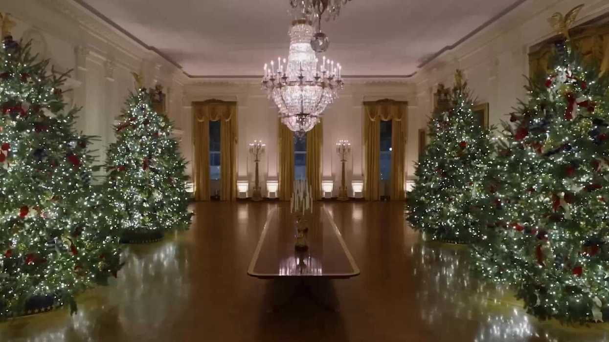 Fox host sparks debate urging people to buy fake Christmas trees to support AI data centres