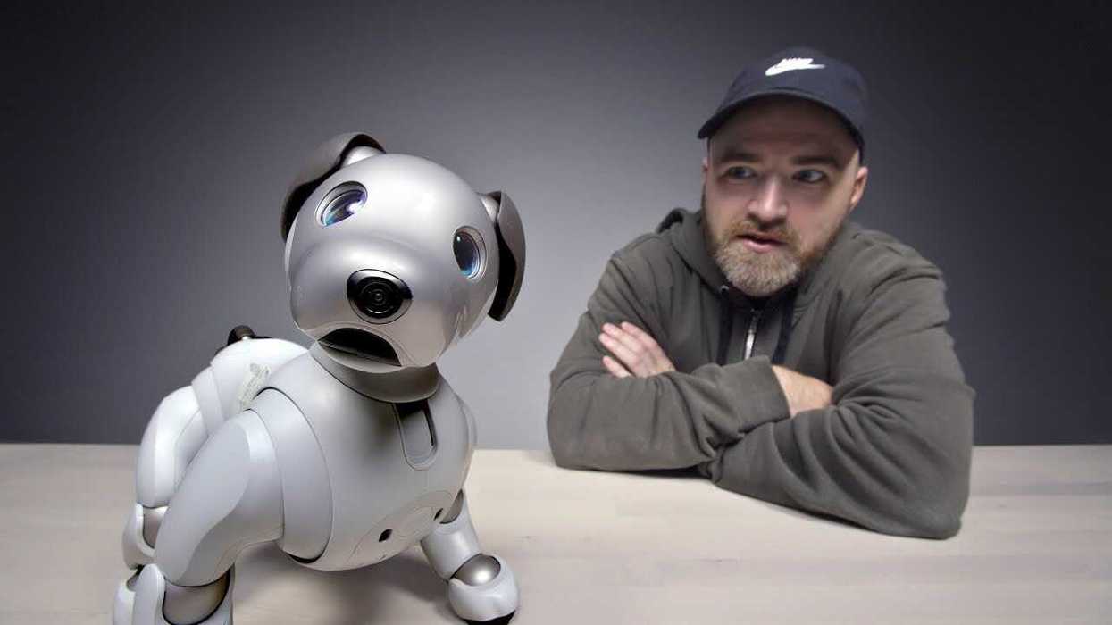 'Even pets are losing their jobs to AI' as tech company launches robot dog