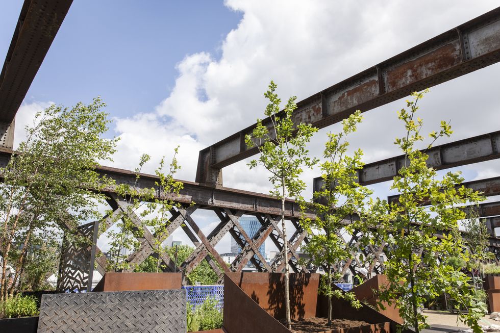 Manchester landmark new home for ‘green oasis’ in the sky