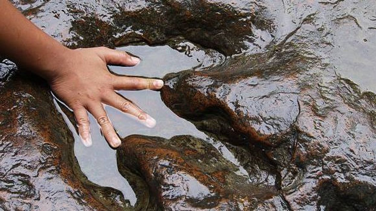 Experts discover ‘real’ reason why dinosaurs once ruled the world