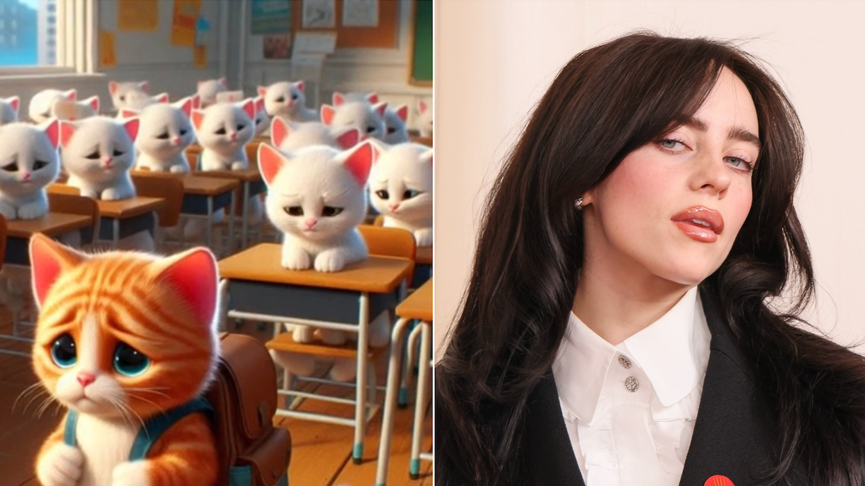The AI cat and Billie Eilish TikTok trend explained | indy100