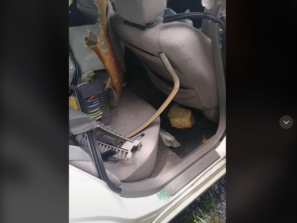 The bear completely destroyed the car