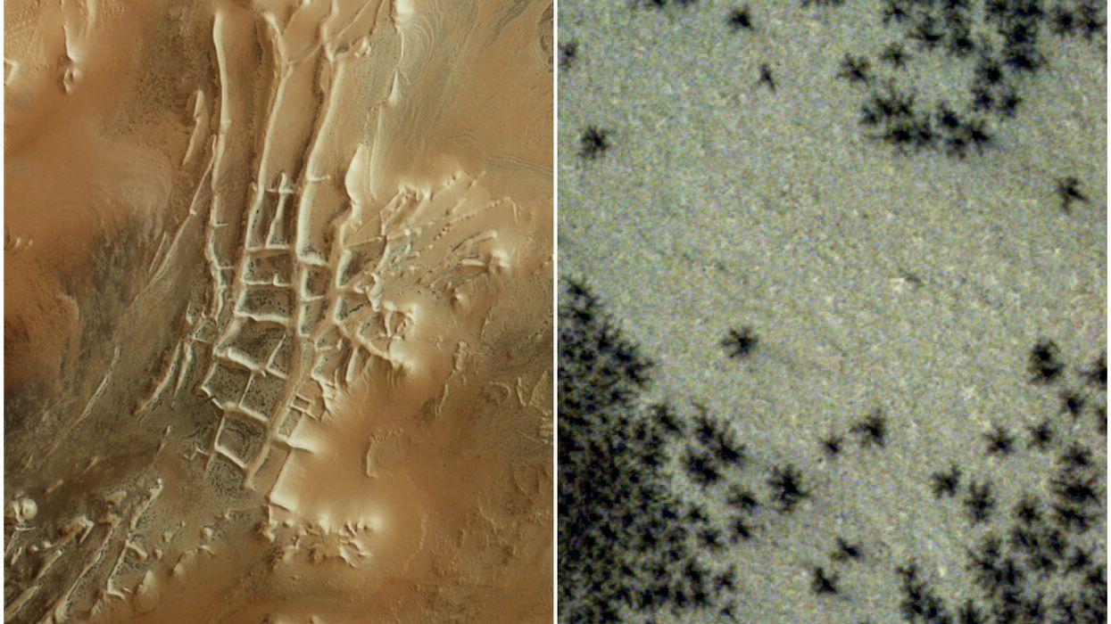 Hundreds of 'black spiders’ pictured sprawled across Mars in new satellite images